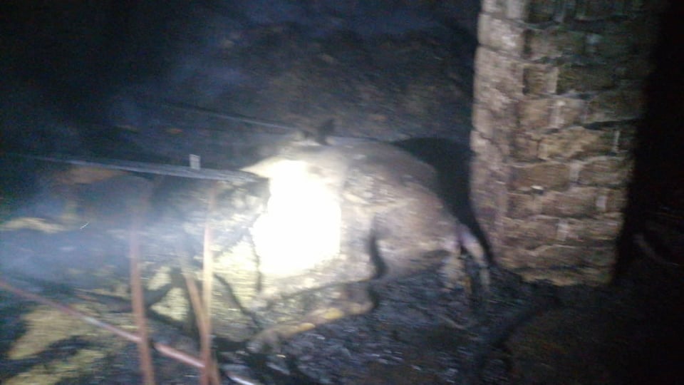 حريق مواشي بالبدرشين