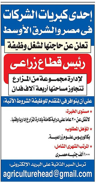 وظائف خالية